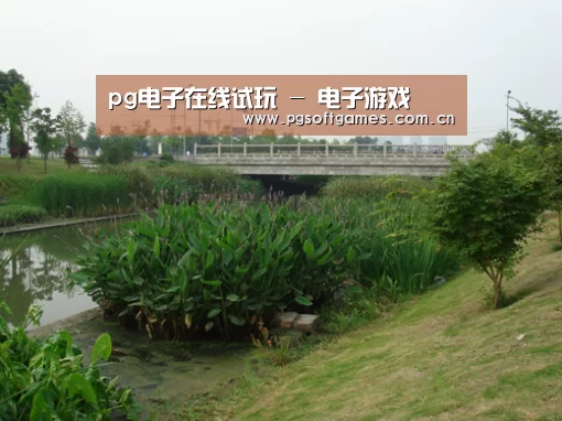案例展示四(图1)