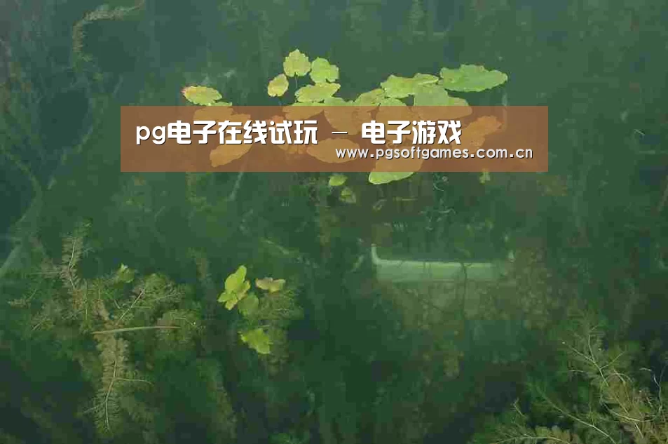 案例展示三(图1)