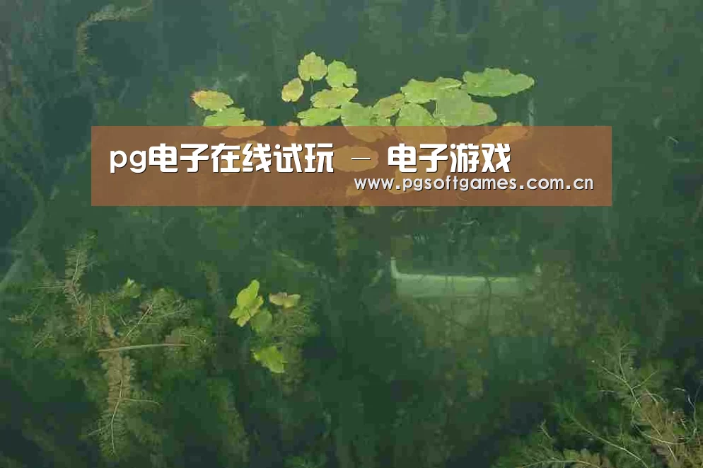 案例展示三