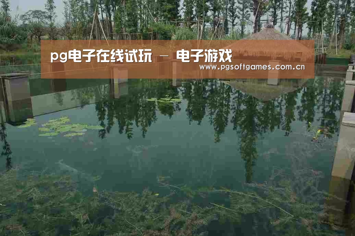 案例展示二