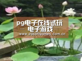 产品名称一