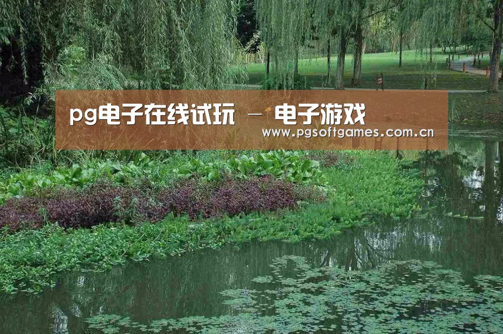案例展示一