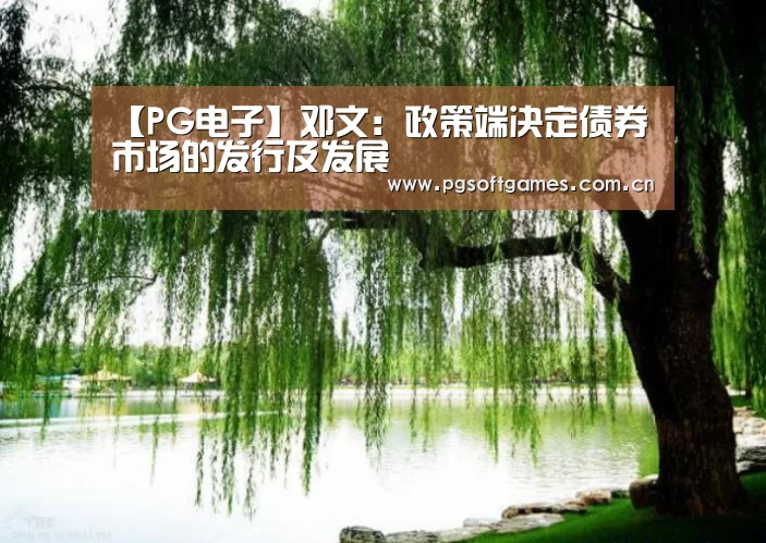 【PG电子】邓文:政策端决定债券市场的发行及发展(图2) pg模拟器在线试玩