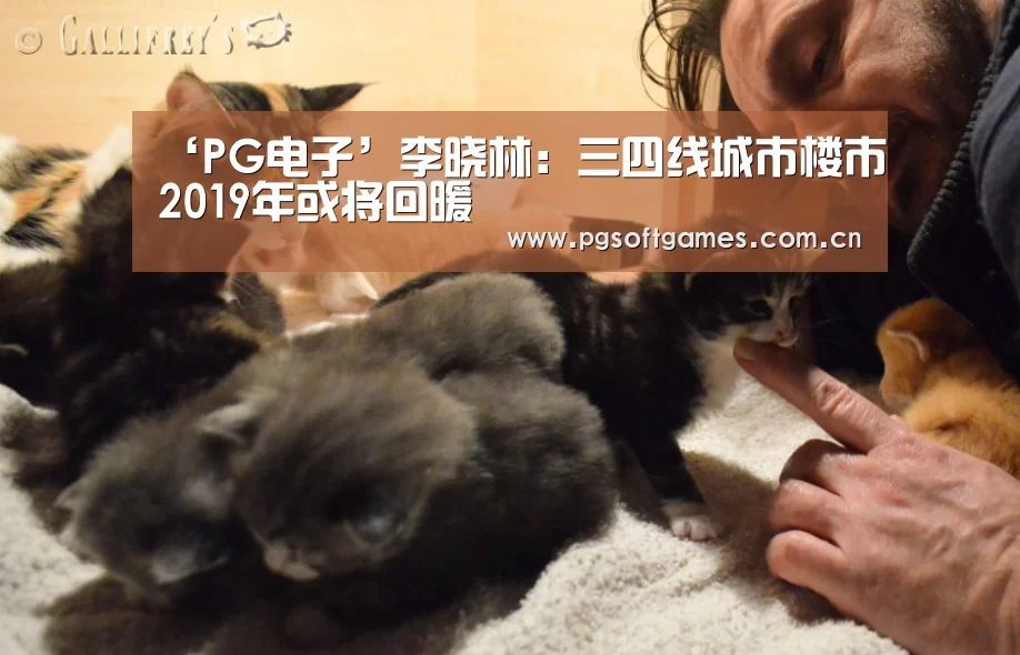 PG电子