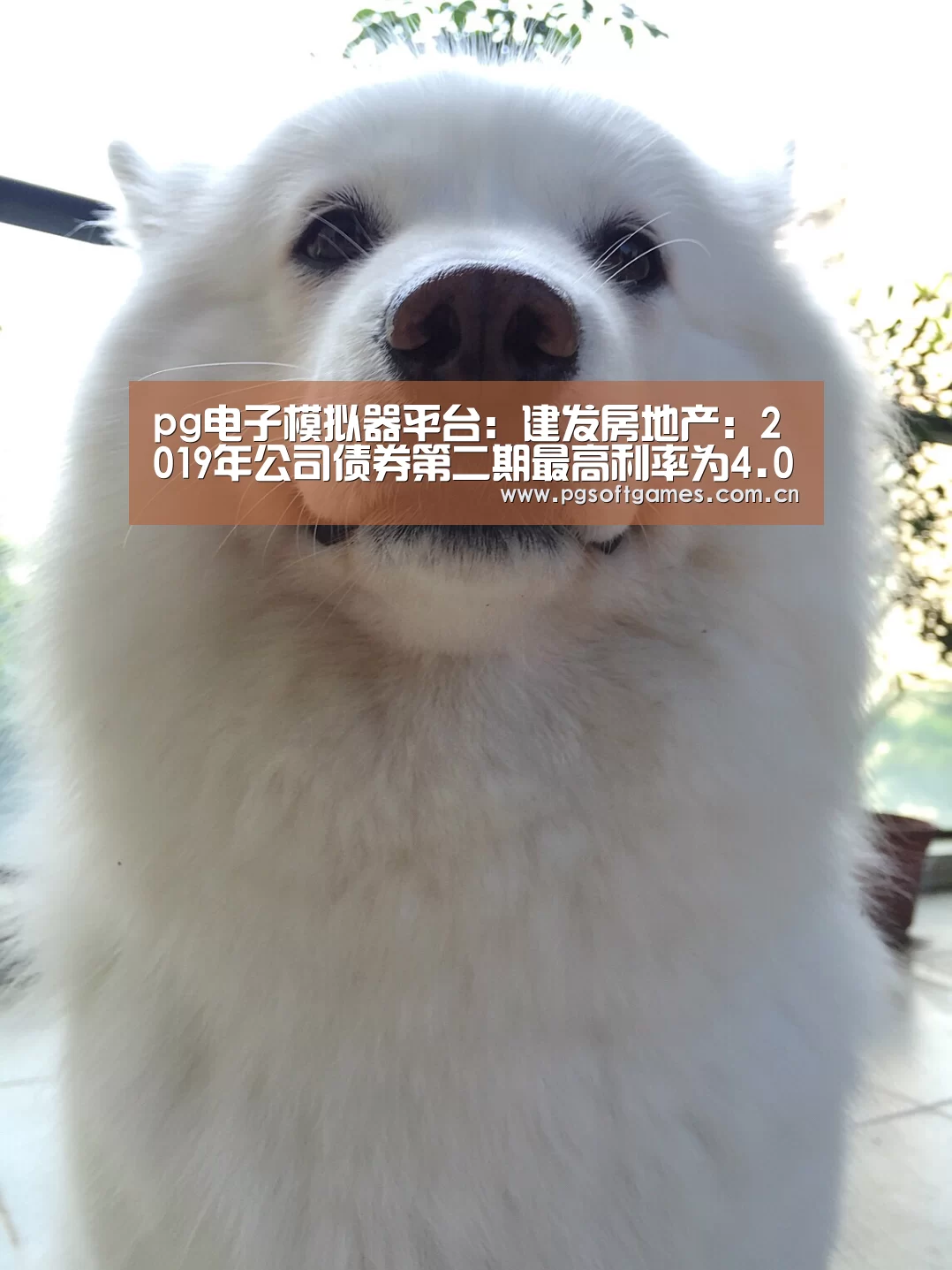 pg电子模拟器平台:建发房地产:2019年公司债券第二期最高利率为4.09%(图1) pg电子模拟器手机版