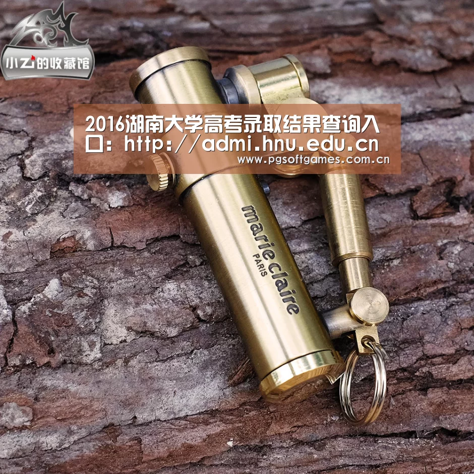 2016湖南大学高考录取结果查询入口:http://admi.hnu.edu.cn/zsblq/index.jsp|PG电子(图4) pg模拟器在线试玩