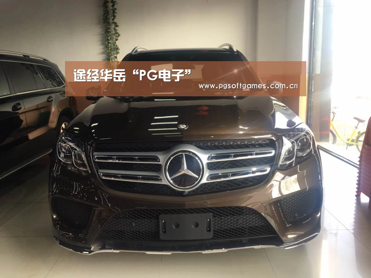 途经华岳“PG电子”(图2) pg模拟器在线试玩