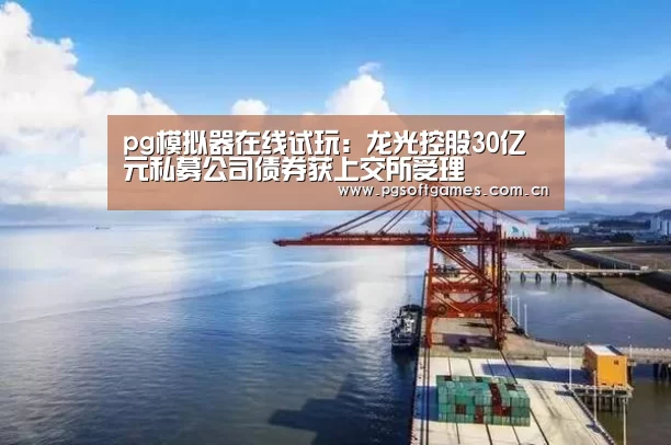 pg模拟器在线试玩:龙光控股30亿元私募公司债券获上交所受理(图2) pg电子模拟器平台
