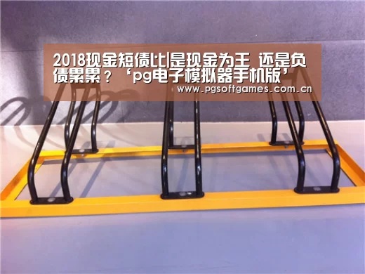 2018现金短债比|是现金为王 还是负债累累?‘pg电子模拟器手机版’(图1) pg模拟器在线试玩
