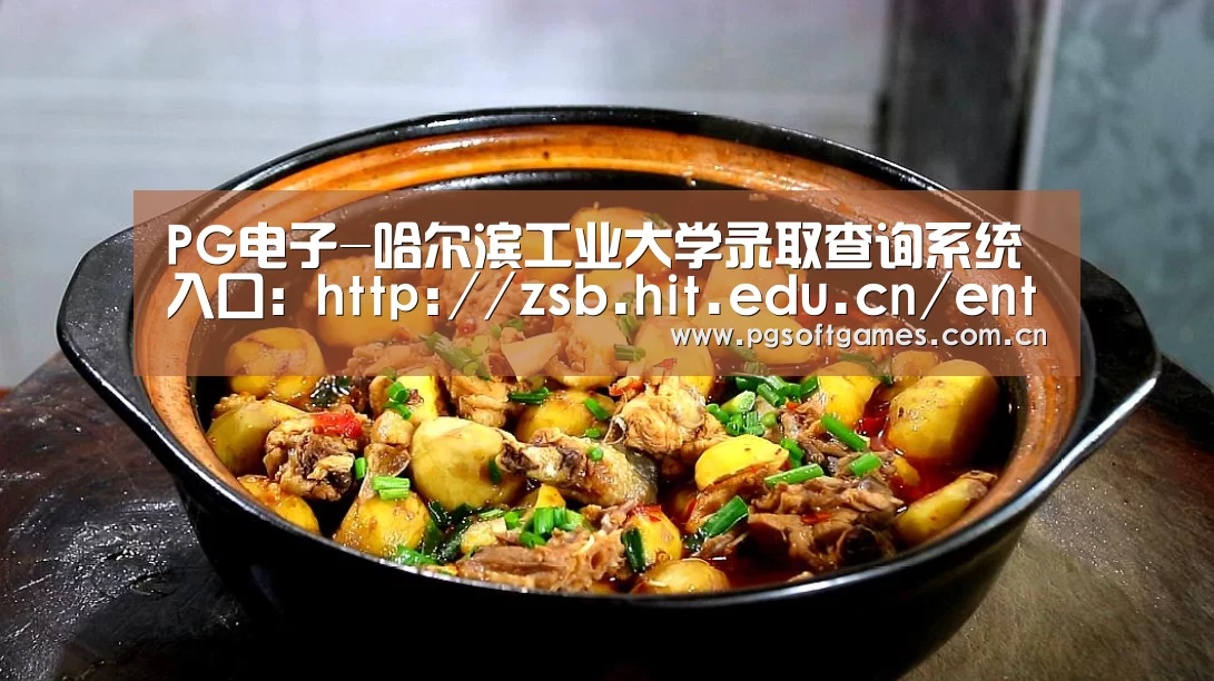 PG电子-哈尔滨工业大学录取查询系统 入口:http://zsb.hit.edu