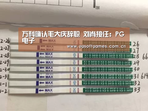 万科确认毛大庆辞职 刘肖接任:PG电子(图3) pg电子模拟器平台