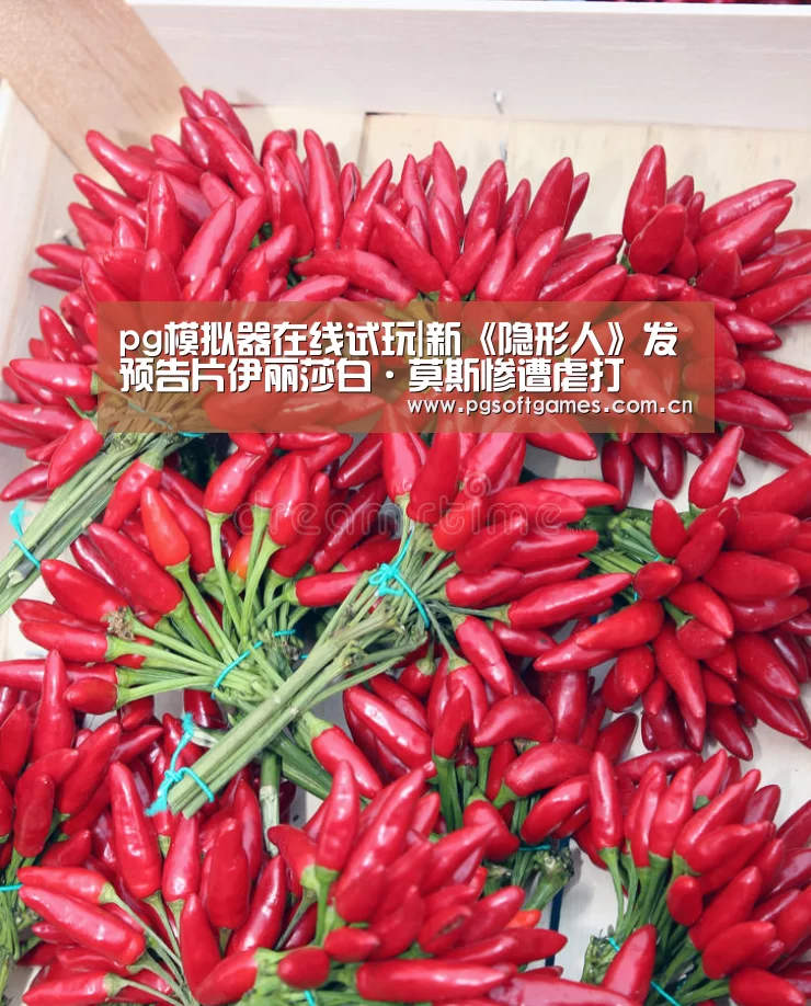 pg模拟器在线试玩