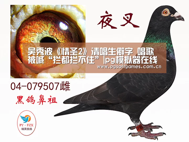 吴秀波《情圣2》清唱生僻字 唱歌被喊“拦都拦不住”|pg模拟器在线试玩(图4) pg模拟器在线试玩