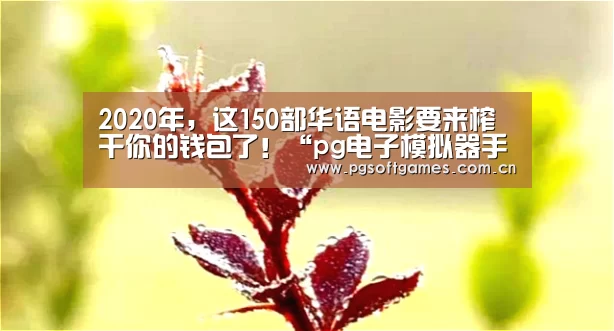 pg模拟器在线试玩