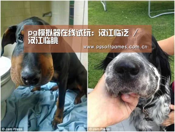 pg模拟器在线试玩:汉江临泛 / 汉江临眺(图1) pg电子模拟器手机版