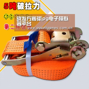 pg电子模拟器平台